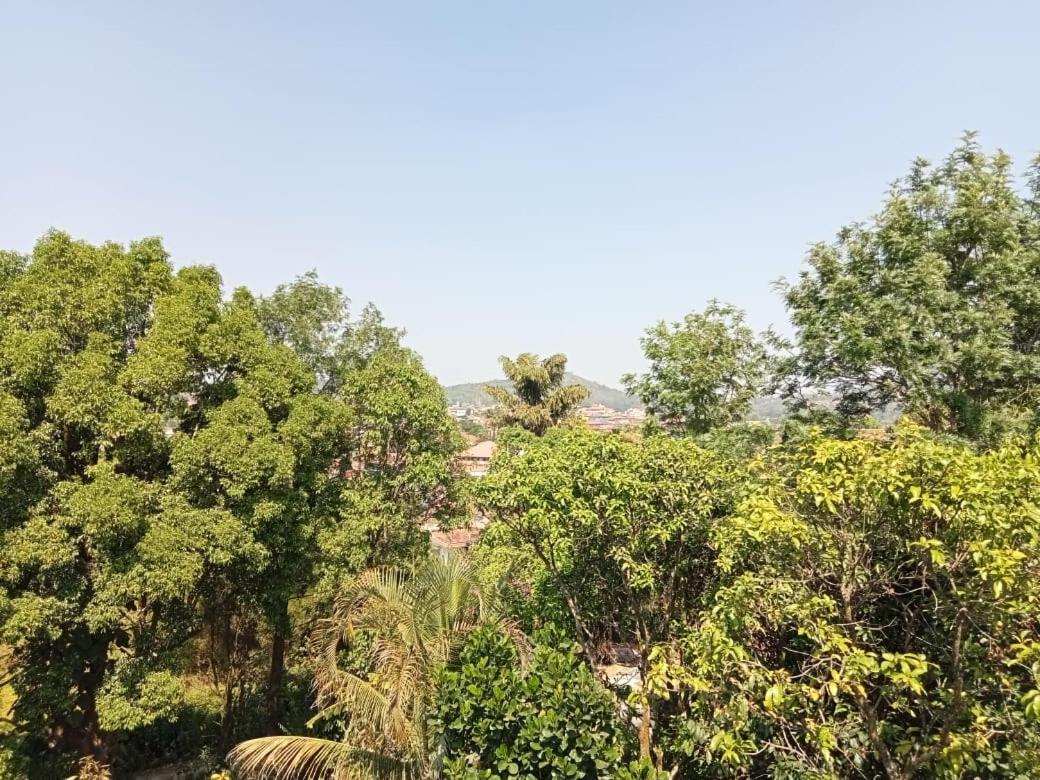 Eshwarkrupa Homestay Madikeri Kültér fotó